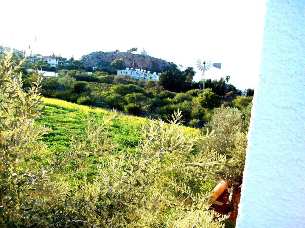 Flokkas Hotel Apartments Πρωταράς Εξωτερικό φωτογραφία